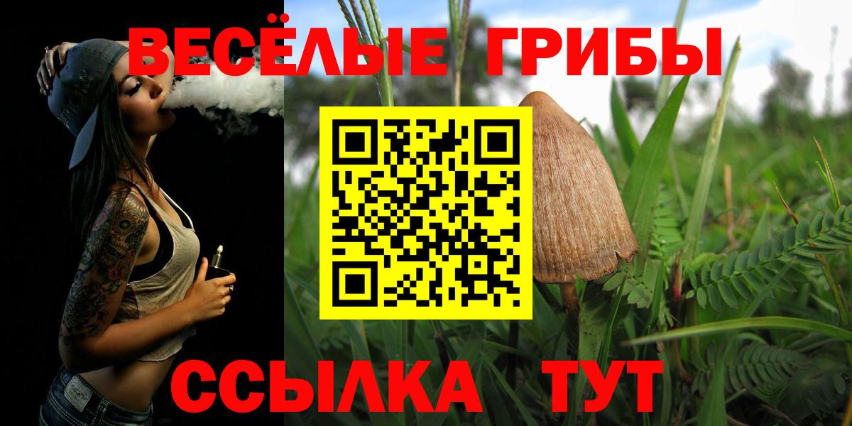 Галлюциногенные грибы ЛСД Юрга