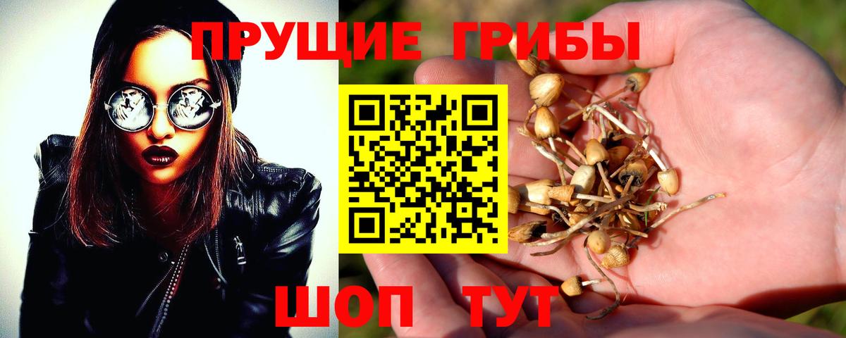 Псилоцибиновые грибы мухоморы  Галлюциногенные грибы прущие грибы  Юрга  Вход с VPN 